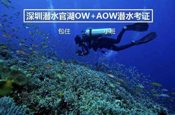 救援有趣的孔雀