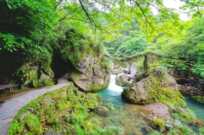 孤岛先锋